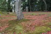 鹿苑寺(金閣寺)(京都府)