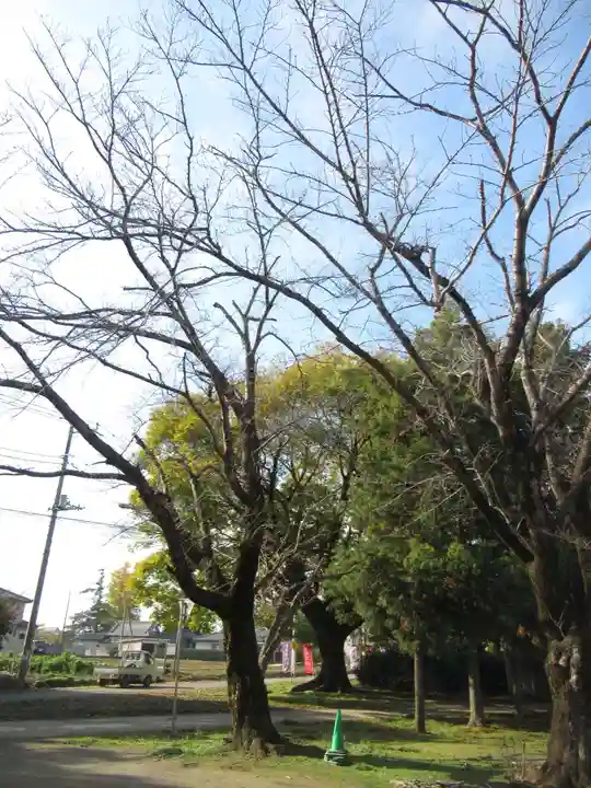 伏木香取神社(茨城県)