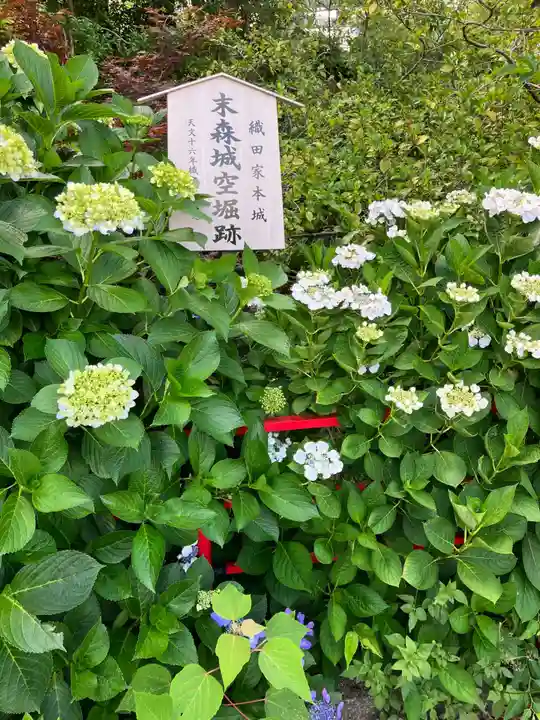 城山八幡宮の周辺