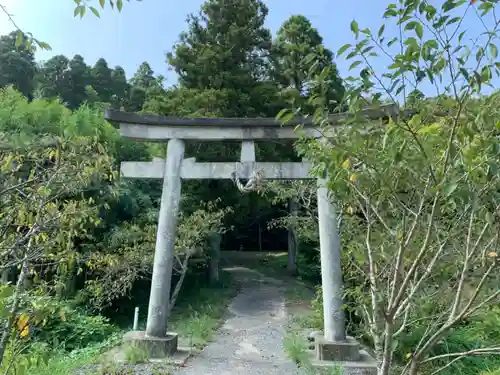 長谷神社の鳥居