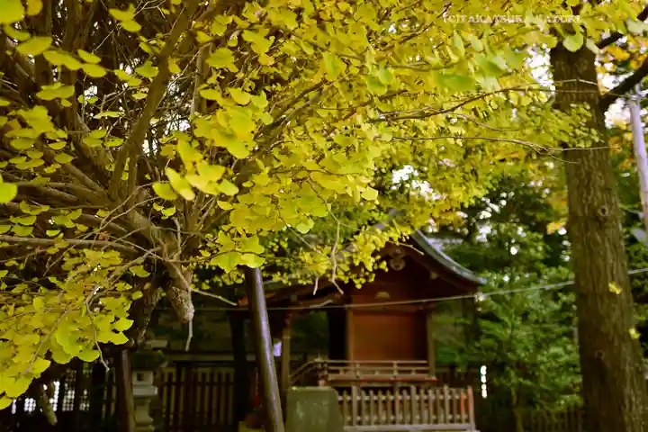秩父神社(埼玉県)