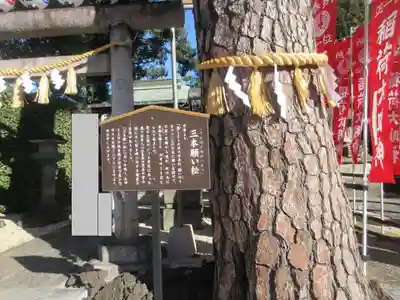 中野沼袋氷川神社(東京都)