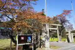 鹿島大神宮の鳥居