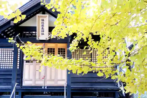 福住厳島神社の自然