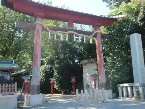 鷲宮神社の鳥居