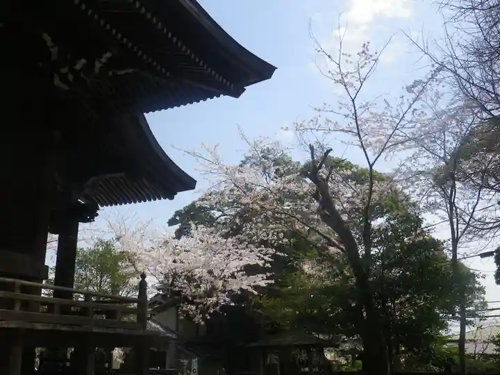 御霊神社のその他建物