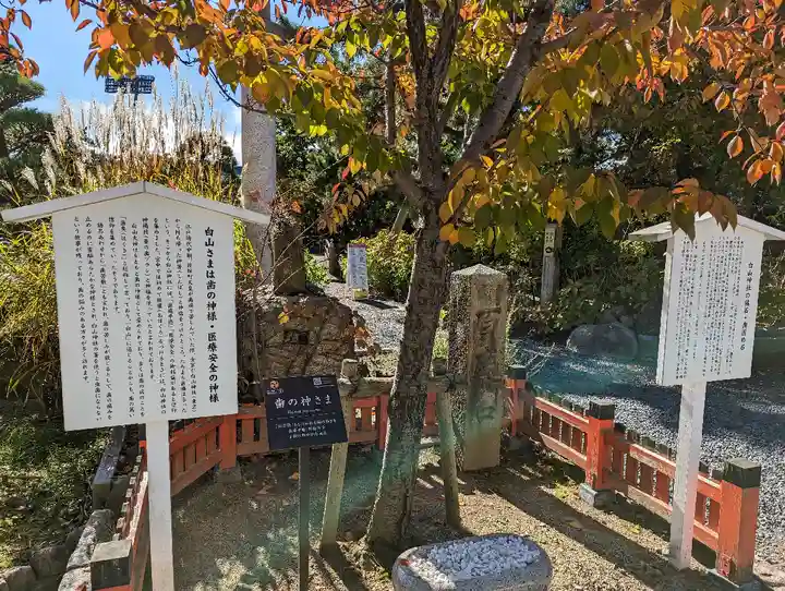 白山神社(新潟県)