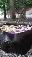 千歳神社の手水舎