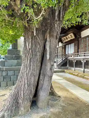 龍本寺(神奈川県)