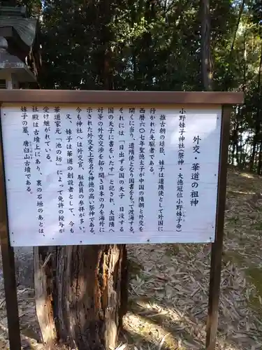 小野妹子神社の歴史