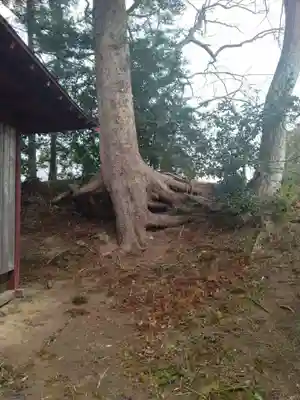 八幡神社(平沢)(宮城県)