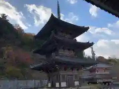 南法華寺（壷阪寺）(奈良県)