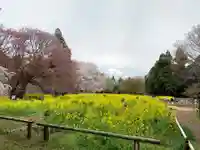 小鷹神社(千葉県)