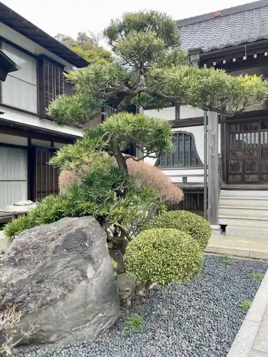東漸寺の{uncategorized: "未分類", other: "その他", undefined: "問題あり", building: "その他建物", grave: "お墓", sacred_gate: "鳥居", guardian: "狛犬", statue: "像", buddha: "仏像", history: "歴史", nature: "自然", garden: "庭園", animal: "動物", pagoda: "塔", temizu: "手水舎", mountain_gate: "山門・神門", sanctuary: "本殿・本堂", subordinate: "末社・摂社", art: "芸術", scenery: "景色", jizo: "地蔵", ema: "絵馬", goshuin: "御朱印", omikuji: "おみくじ", items: "授与品その他", amulet: "お守り", goshuincho: "御朱印帳", eats: "食事", festival: "お祭り", votive_dance: "神楽", shichigosan: "七五三参", wedding: "結婚式", experience: "体験その他", initially: "初詣", around: "周辺", anti_infection: "感染症対策"}