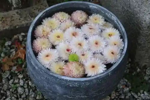 三春大神宮の手水舎