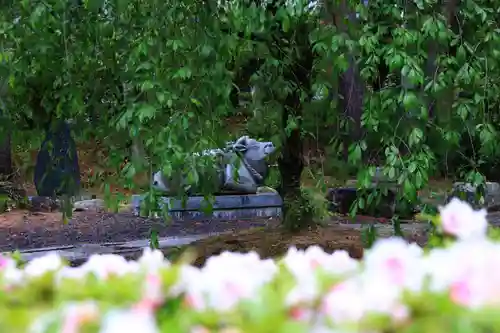 豊景神社の狛犬