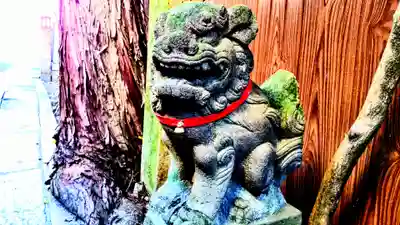 須佐之男社 迦具土社合殿の狛犬