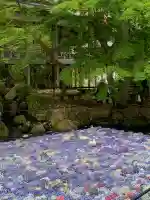 楽法寺(雨引観音)の{uncategorized: "未分類", other: "その他", undefined: "問題あり", building: "その他建物", grave: "お墓", sacred_gate: "鳥居", guardian: "狛犬", statue: "像", buddha: "仏像", history: "歴史", nature: "自然", garden: "庭園", animal: "動物", pagoda: "塔", temizu: "手水舎", mountain_gate: "山門・神門", sanctuary: "本殿・本堂", subordinate: "末社・摂社", art: "芸術", scenery: "景色", jizo: "地蔵", ema: "絵馬", goshuin: "御朱印", omikuji: "おみくじ", items: "授与品その他", amulet: "お守り", goshuincho: "御朱印帳", eats: "食事", festival: "お祭り", votive_dance: "神楽", shichigosan: "七五三参", wedding: "結婚式", experience: "体験その他", initially: "初詣", around: "周辺", anti_infection: "感染症対策"}