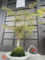 松本山 地福禅寺(滋賀県)