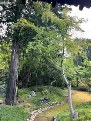 喜多院(埼玉県)