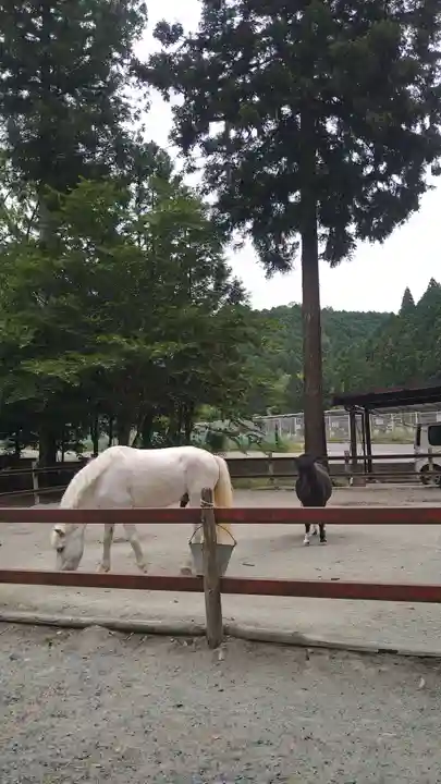 丹生川上神社(下社)の動物