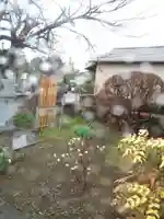 真光寺(千葉県)