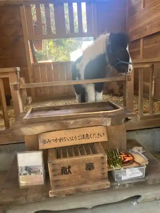 平塚八幡宮(神奈川県)