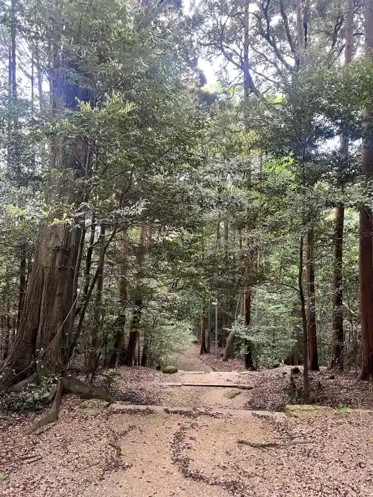 當麻山口神社の{uncategorized: "未分類", other: "その他", undefined: "問題あり", building: "その他建物", grave: "お墓", sacred_gate: "鳥居", guardian: "狛犬", statue: "像", buddha: "仏像", history: "歴史", nature: "自然", garden: "庭園", animal: "動物", pagoda: "塔", temizu: "手水舎", mountain_gate: "山門・神門", sanctuary: "本殿・本堂", subordinate: "末社・摂社", art: "芸術", scenery: "景色", jizo: "地蔵", ema: "絵馬", goshuin: "御朱印", omikuji: "おみくじ", items: "授与品その他", amulet: "お守り", goshuincho: "御朱印帳", eats: "食事", festival: "お祭り", votive_dance: "神楽", shichigosan: "七五三参", wedding: "結婚式", experience: "体験その他", initially: "初詣", around: "周辺", anti_infection: "感染症対策"}