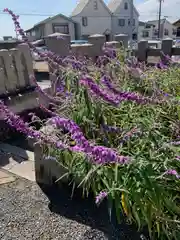 玄武神社の自然