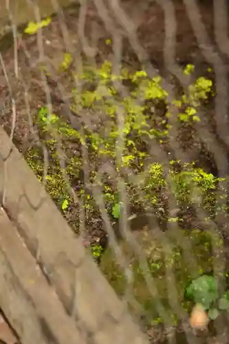 宝積山光前寺(長野県)