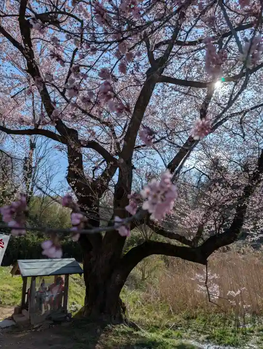 宇賀神さま(福島県)
