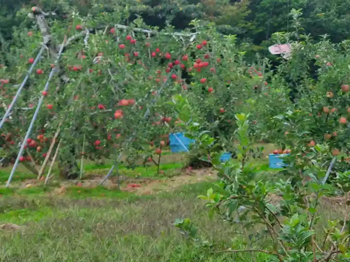 陽泰寺(長野県)