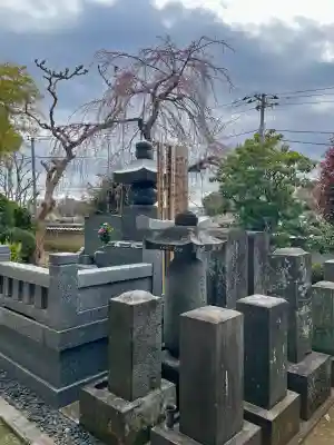 法真寺の{uncategorized: "未分類", other: "その他", undefined: "問題あり", building: "その他建物", grave: "お墓", sacred_gate: "鳥居", guardian: "狛犬", statue: "像", buddha: "仏像", history: "歴史", nature: "自然", garden: "庭園", animal: "動物", pagoda: "塔", temizu: "手水舎", mountain_gate: "山門・神門", sanctuary: "本殿・本堂", subordinate: "末社・摂社", art: "芸術", scenery: "景色", jizo: "地蔵", ema: "絵馬", goshuin: "御朱印", omikuji: "おみくじ", items: "授与品その他", amulet: "お守り", goshuincho: "御朱印帳", eats: "食事", festival: "お祭り", votive_dance: "神楽", shichigosan: "七五三参", wedding: "結婚式", experience: "体験その他", initially: "初詣", around: "周辺", anti_infection: "感染症対策"}
