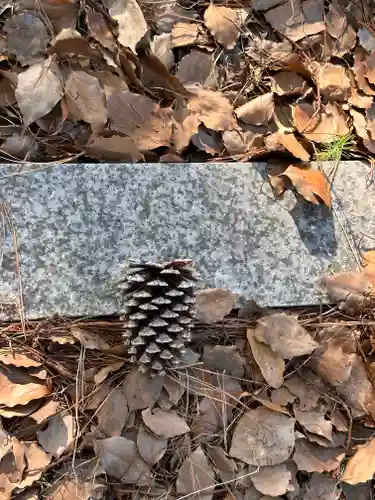 八幡神社の自然