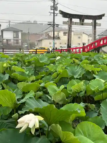 青井阿蘇神社(熊本県)
