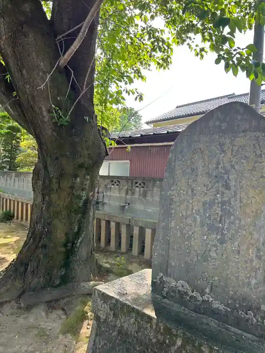 前玉神社(埼玉県)