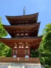 岡寺（龍蓋寺）(奈良県)