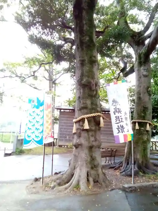 大宮・大原神社の自然