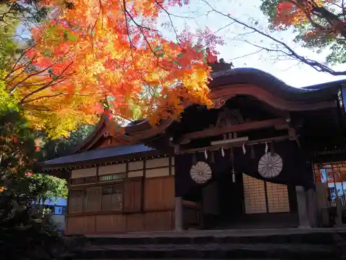 枚岡神社の本殿