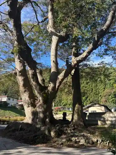 諏訪大社上社前宮(長野県)