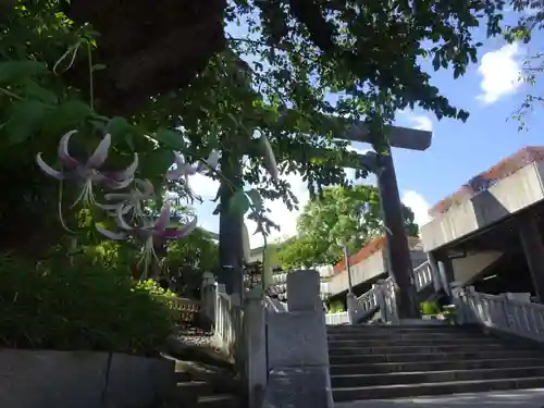 伊勢山皇大神宮の鳥居