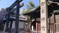 白峯神宮の鳥居
