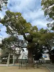 屯倉神社(大阪府)