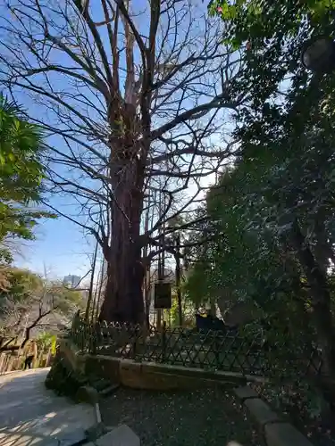 王子神社(東京都)
