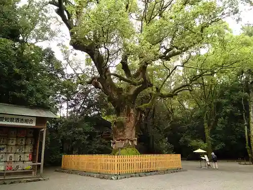 熱田神宮の自然