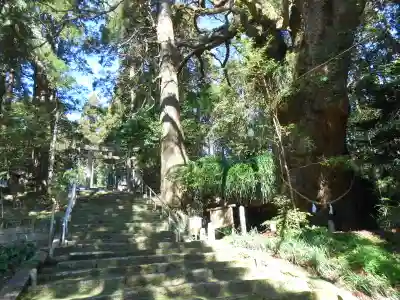 田ノ上八幡神社(宮崎県)
