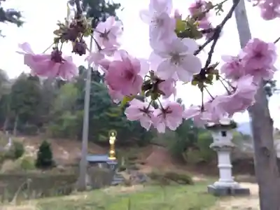 霊泉寺(福井県)