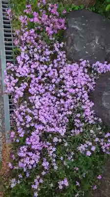感通寺(東京都)