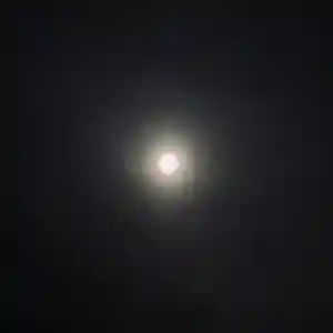 土津神社|こどもと出世の神さまの自然(2021年10月20日(水) 17時06分32秒投稿)