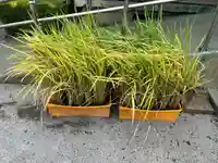 七郷神社(埼玉県)